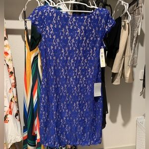 Eliza J Royal Blue Lace Sheath Dress Knee Length Size 14 Dude Lining